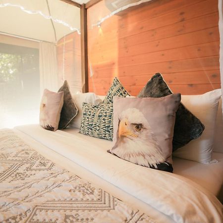 Tribe Yala - Luxury Camping Exterior photo