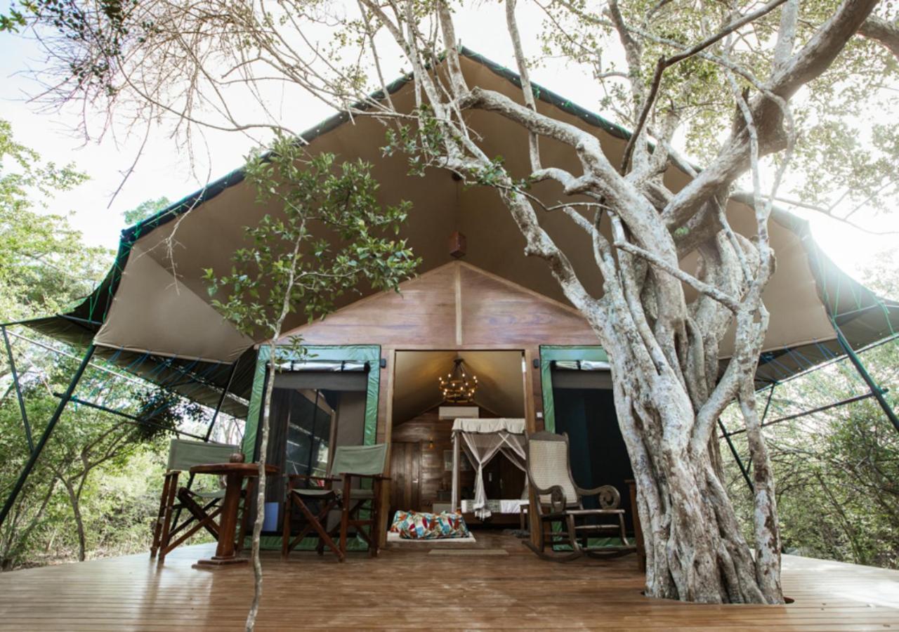 Tribe Yala - Luxury Camping Exterior photo