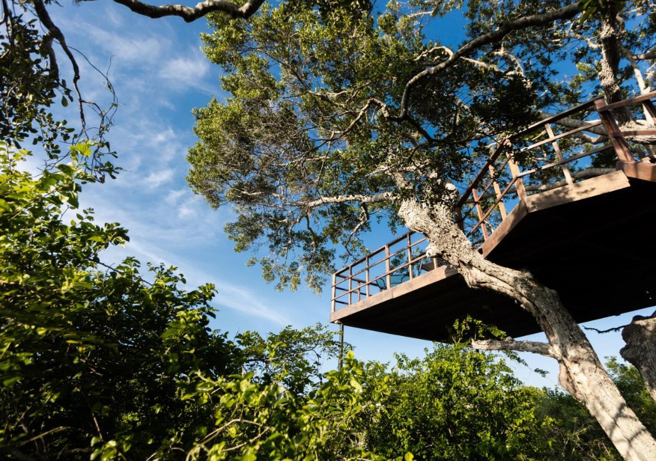 Tribe Yala - Luxury Camping Exterior photo