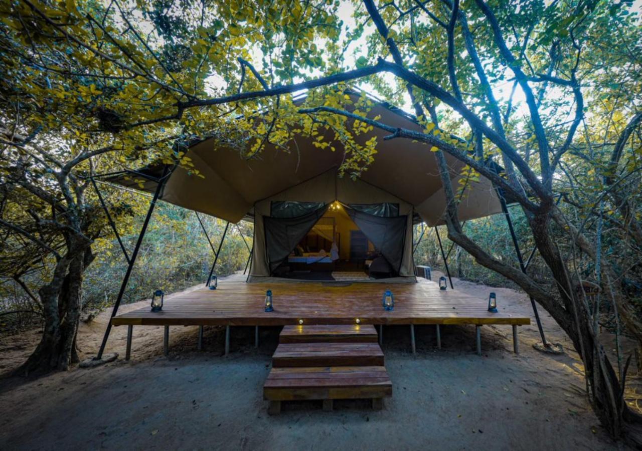 Tribe Yala - Luxury Camping Exterior photo